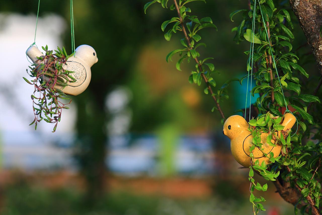 Chirping Orchard, Mukteshwar B&B 외부 사진