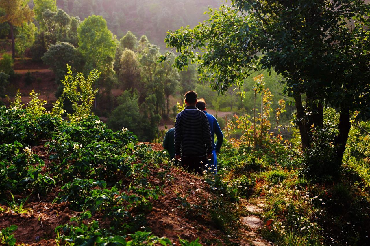 Chirping Orchard, Mukteshwar B&B 외부 사진